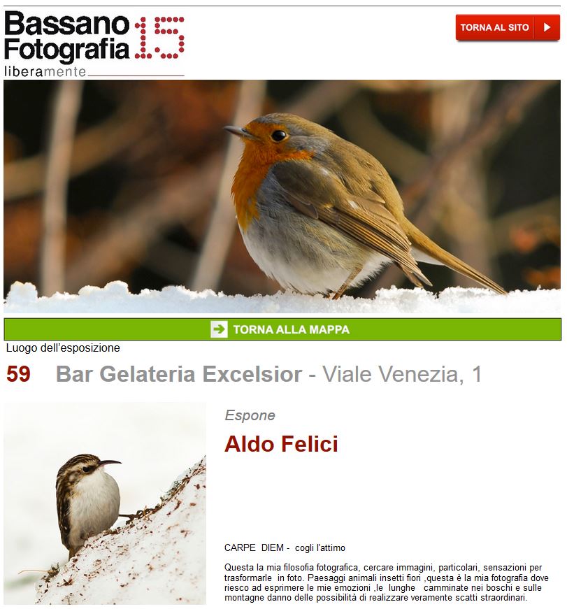 immagine articolo