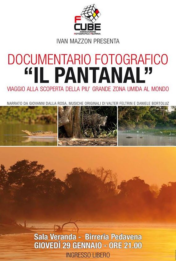 immagine articolo